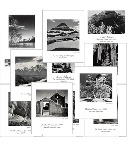 Amazon.com: ArtDirect BridalVeil Falls 28x40 Framed Art Print by